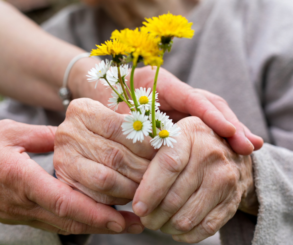 Sequoia hands and flowers