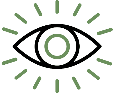 Vision icon